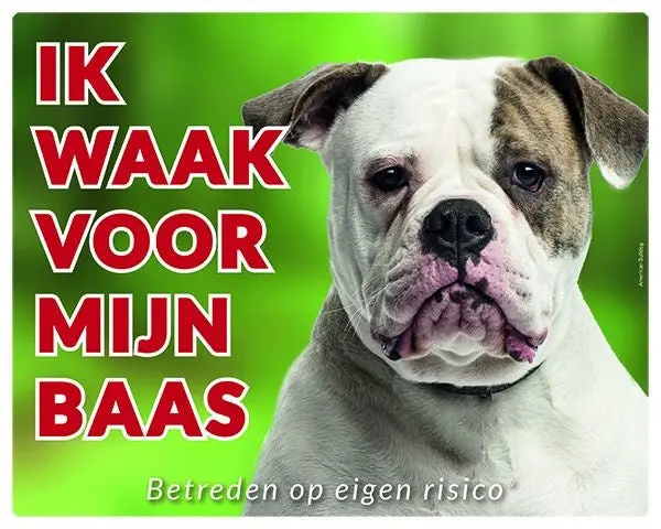 Productafbeelding 1