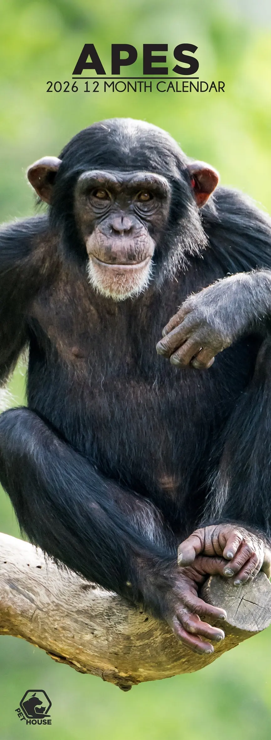 Productafbeelding 1
