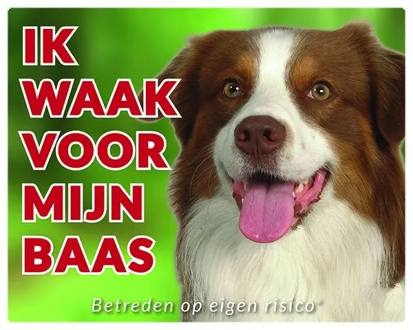 Productafbeelding 1