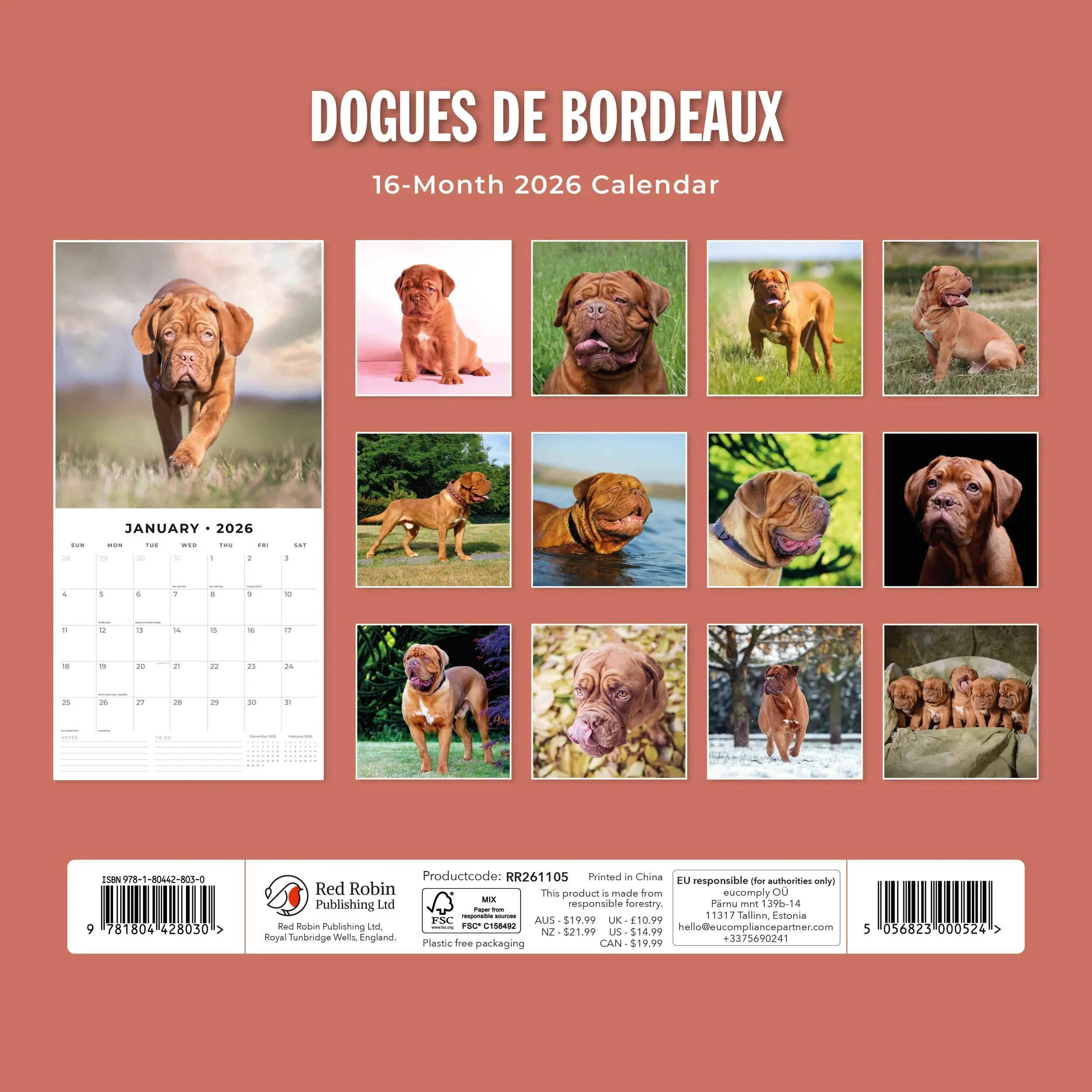 Miniatuur 2