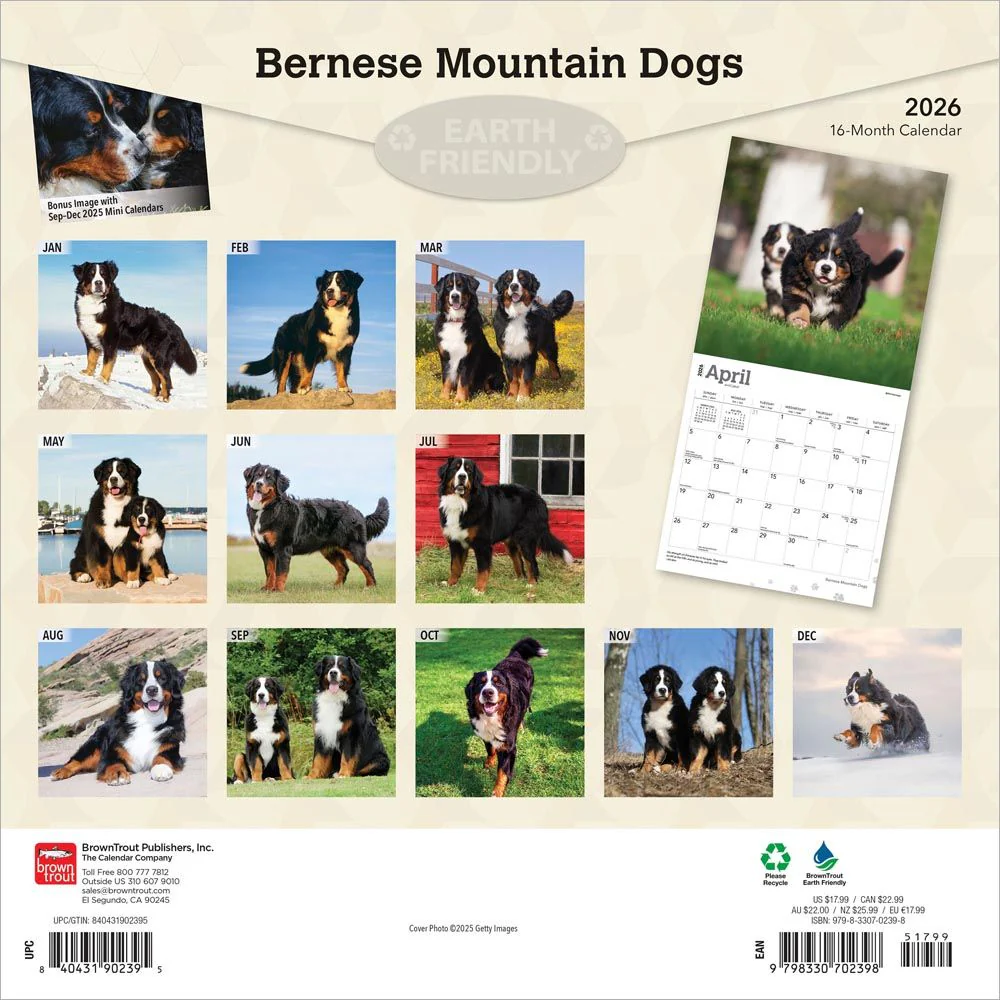 Productafbeelding 2