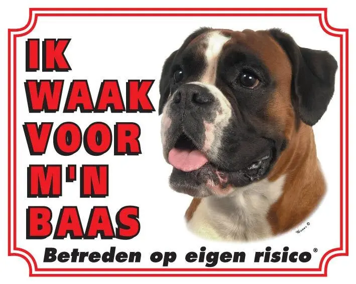 Productafbeelding 1