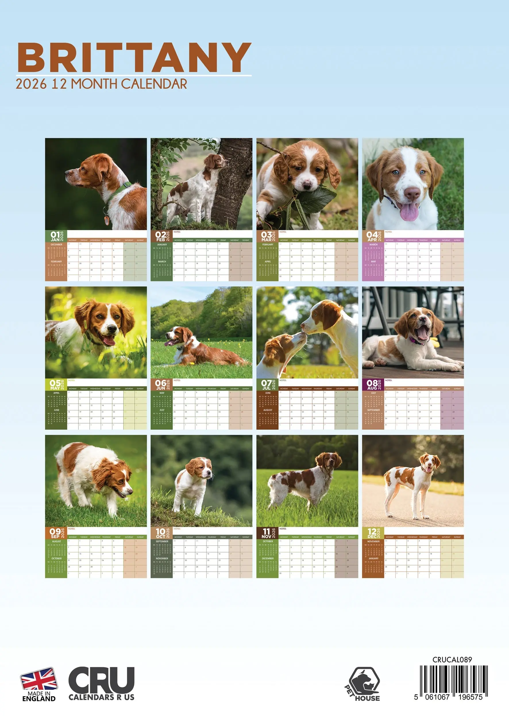Miniatuur 2