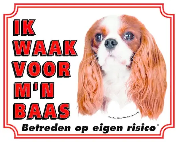 Productafbeelding 1