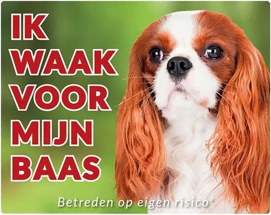 Productafbeelding 1