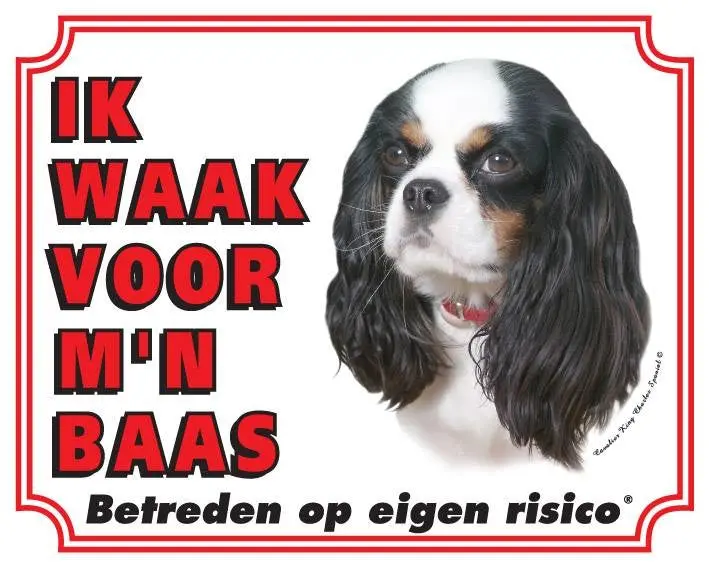 Productafbeelding 1