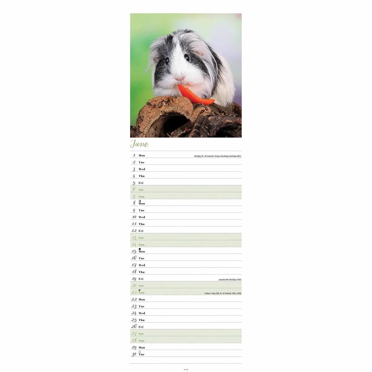 Productafbeelding 3
