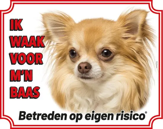 Productafbeelding 1
