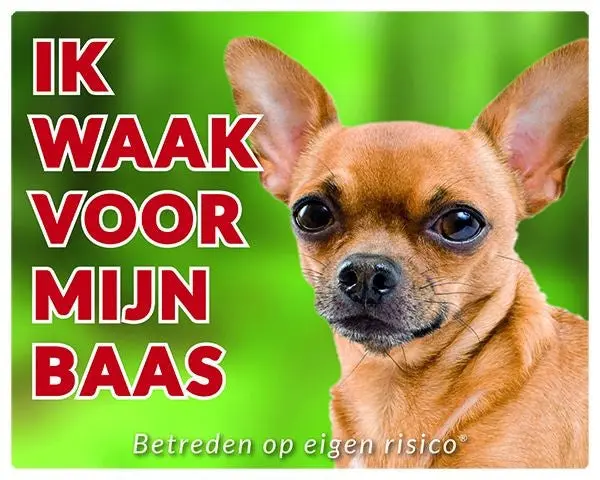 Productafbeelding 1