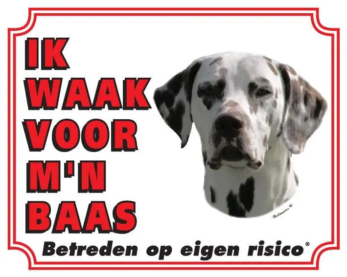 Productafbeelding 1