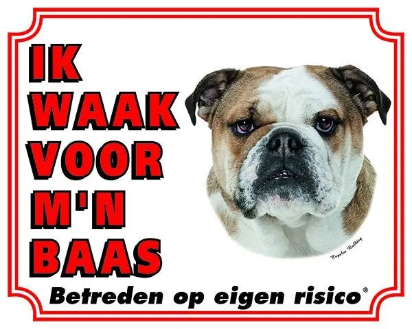 Productafbeelding 1