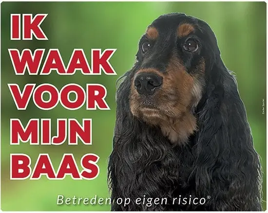 Productafbeelding 1