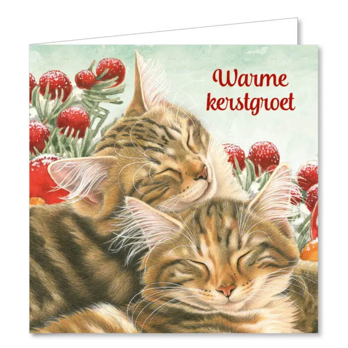 Miniatuur 2