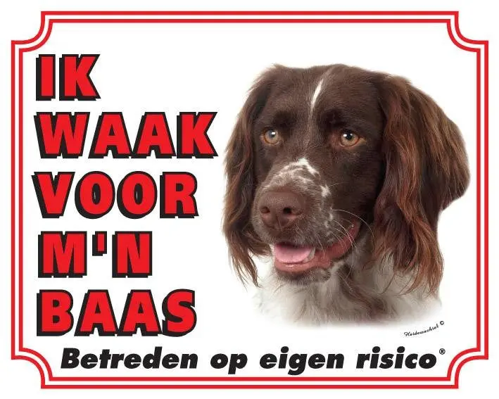 Productafbeelding 1
