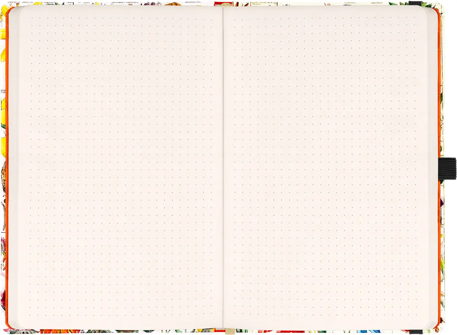 Productafbeelding 4