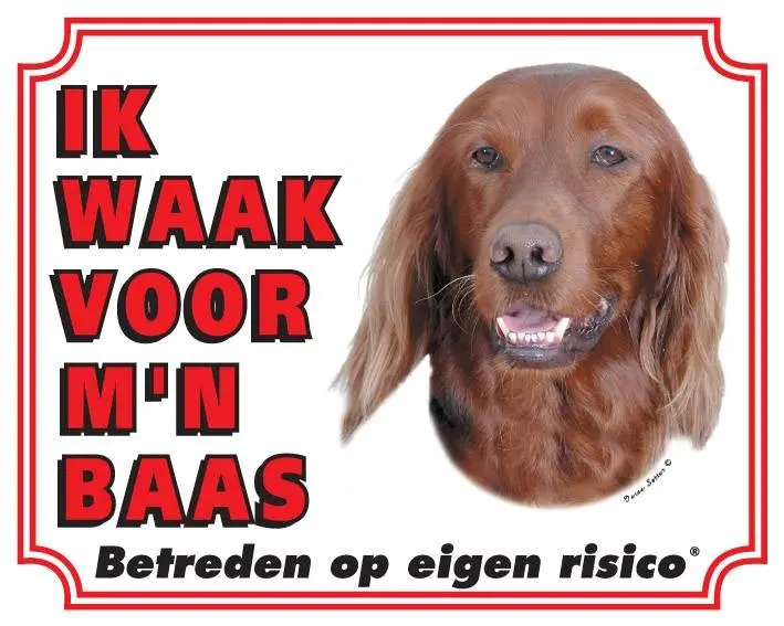 Productafbeelding 1