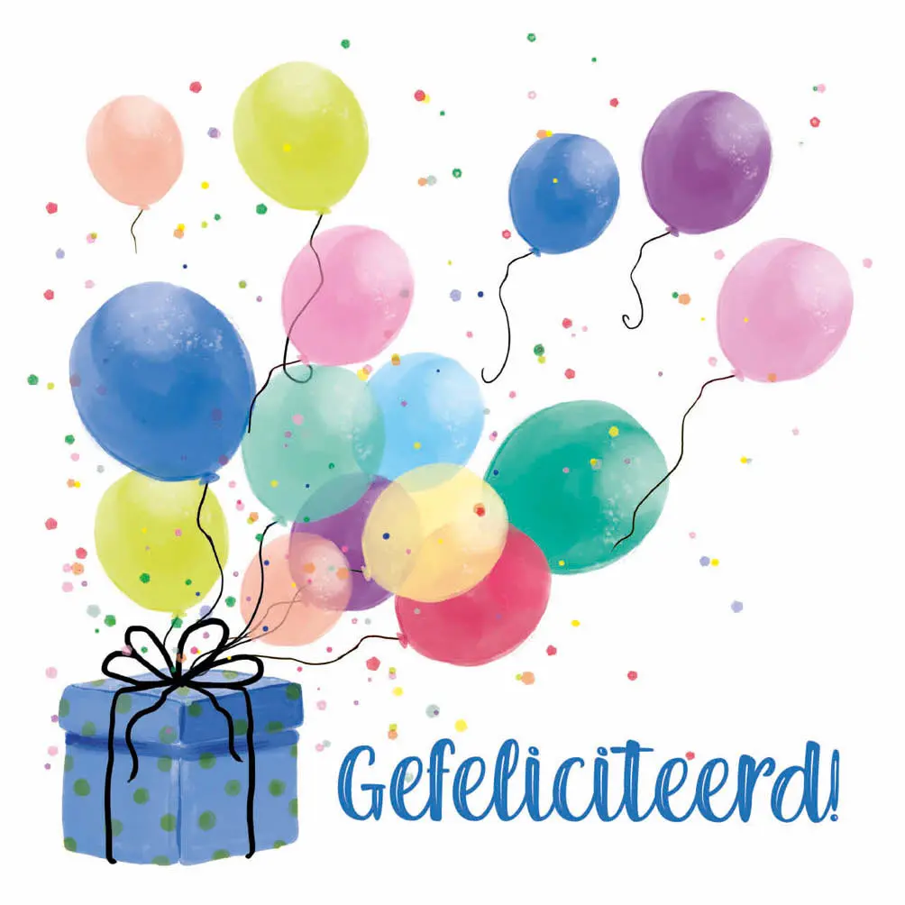 Productafbeelding 5