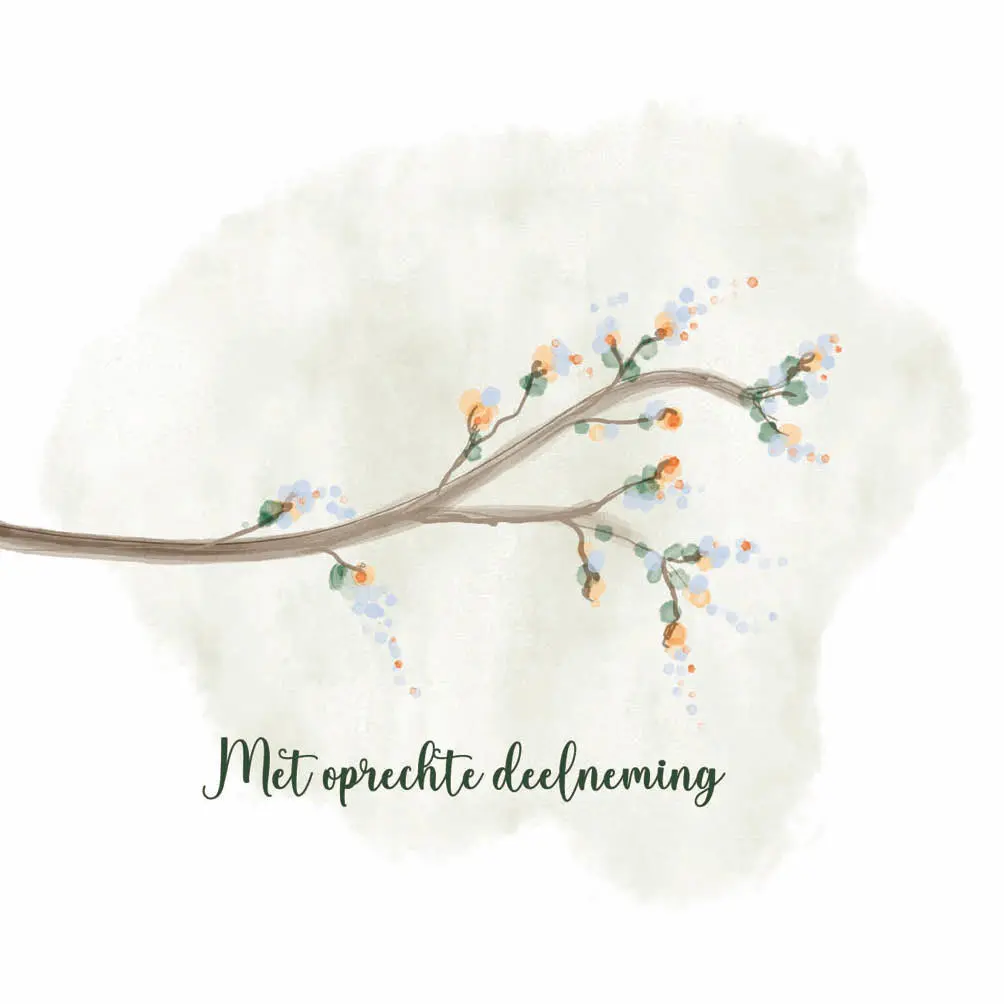 Productafbeelding 6