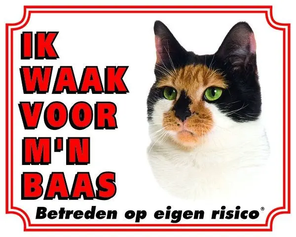 Productafbeelding 1