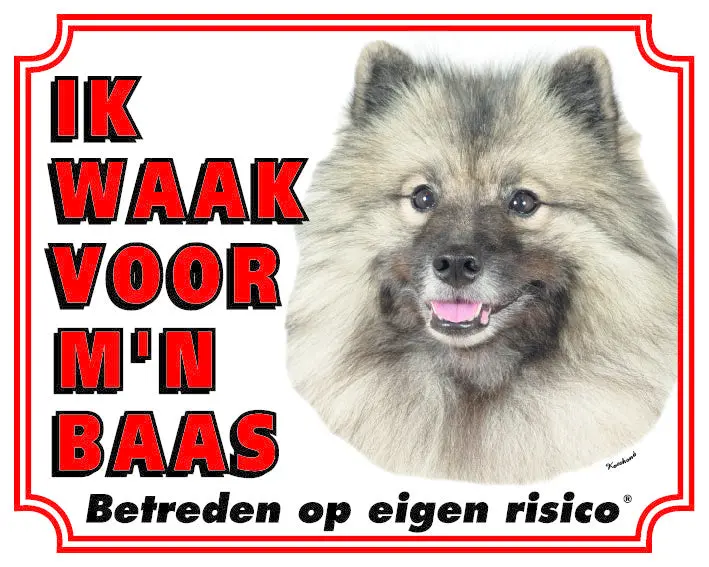 Productafbeelding 1
