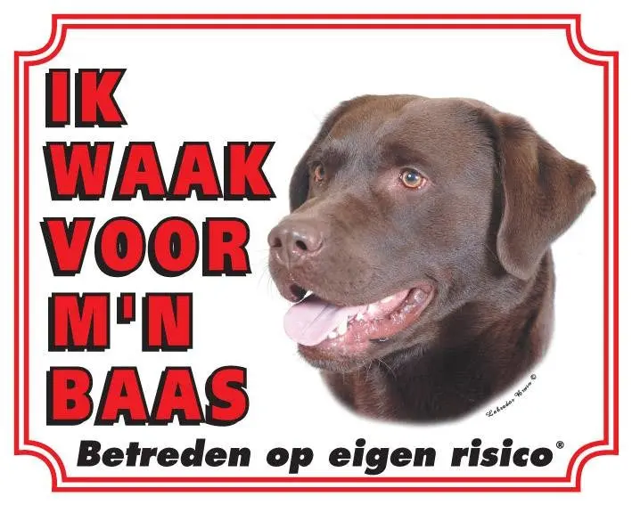 Productafbeelding 1