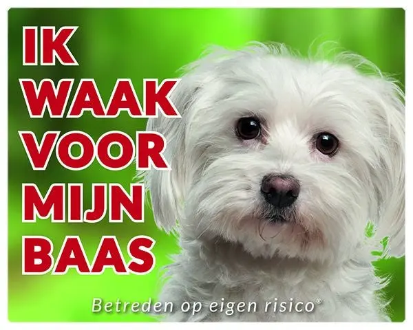 Productafbeelding 1