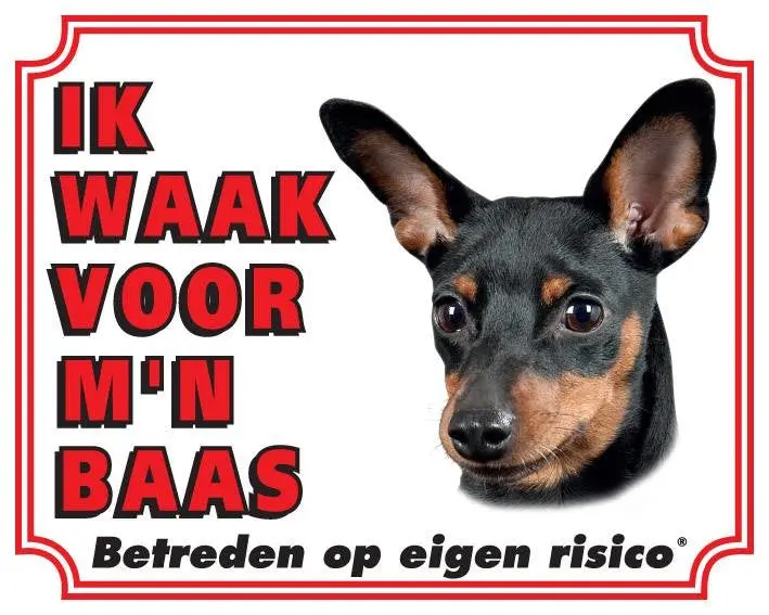 Productafbeelding 1