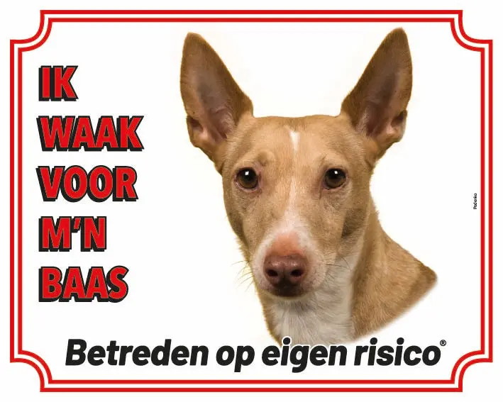 Productafbeelding 1