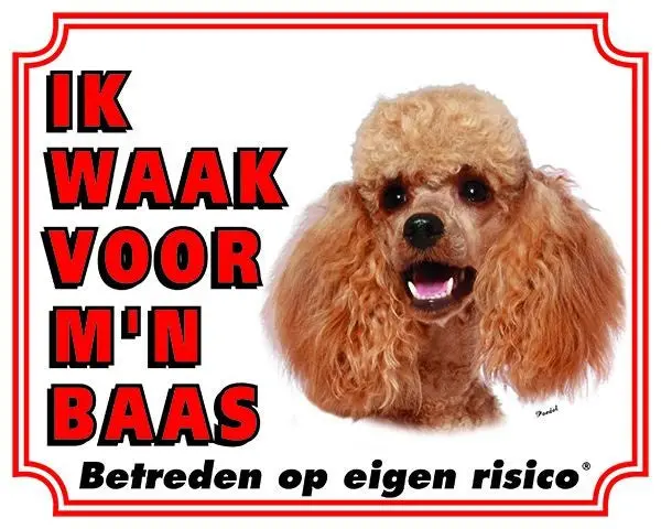 Productafbeelding 1