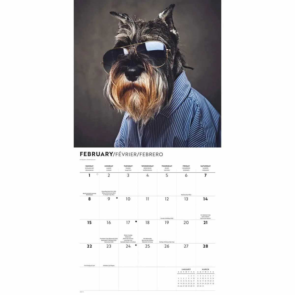 Productafbeelding 3