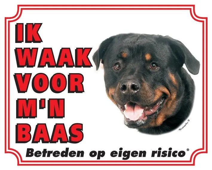 Productafbeelding 1