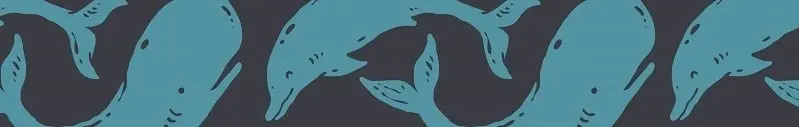 Productafbeelding 2