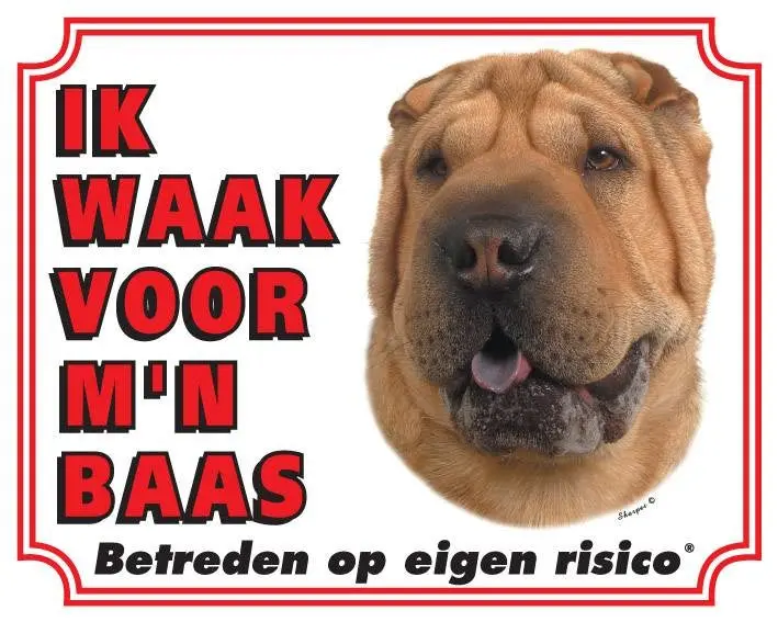 Productafbeelding 1