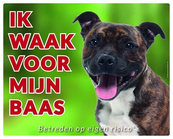Productafbeelding 1