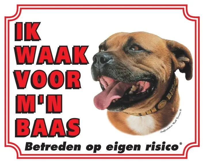 Productafbeelding 1