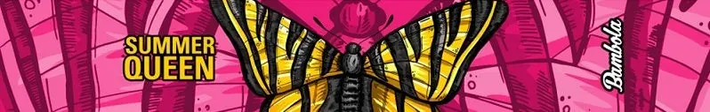 Productafbeelding 2