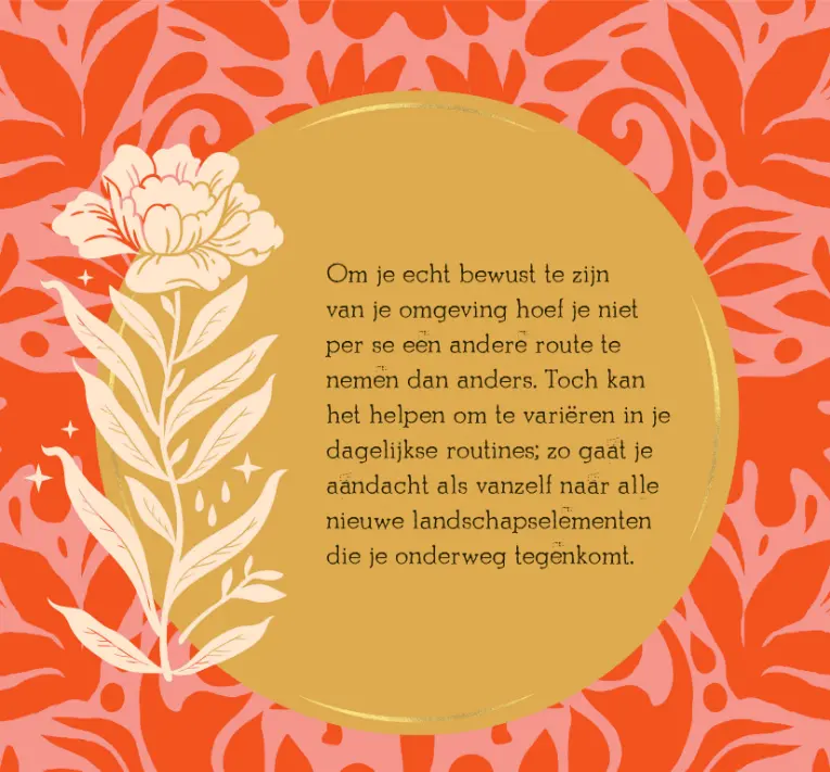 Productafbeelding 5