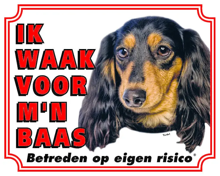 Productafbeelding 1