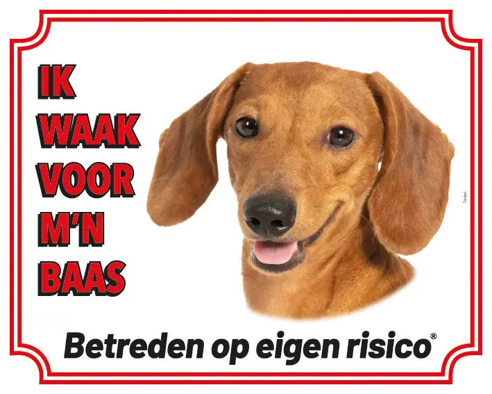 Productafbeelding 1