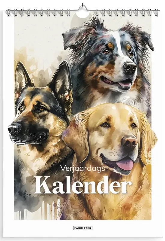 Productafbeelding 1