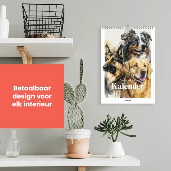 Productafbeelding 3
